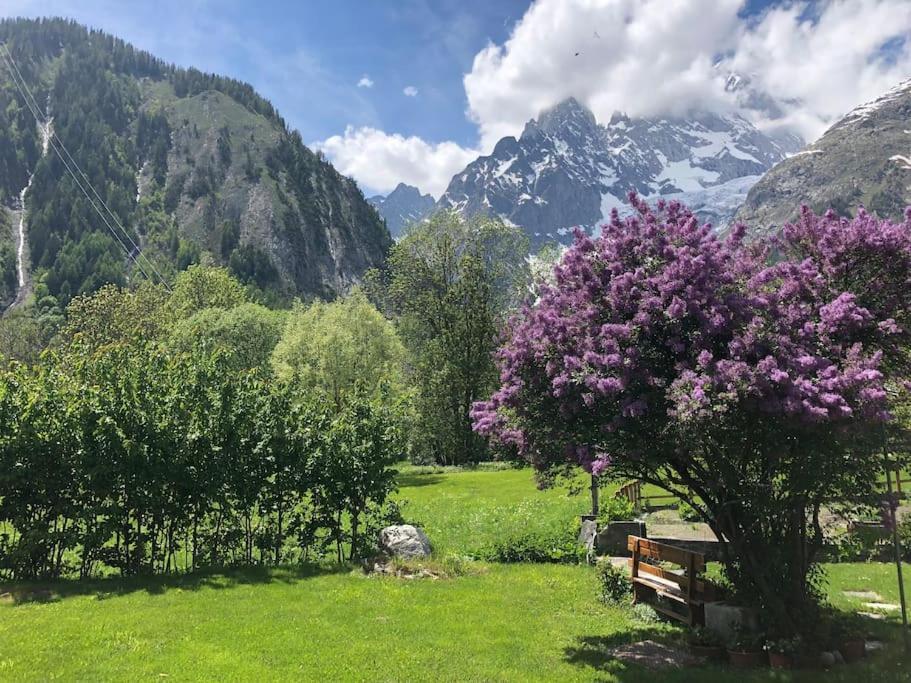 Appartamenti Vista Monte Bianco Courmayeur-Entreves Exteriér fotografie
